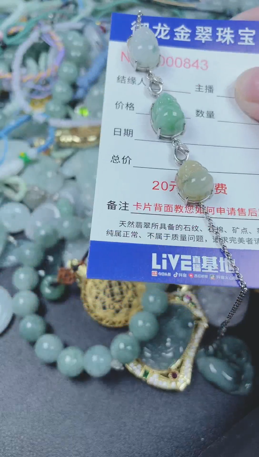 翡翠未镶嵌颈饰154