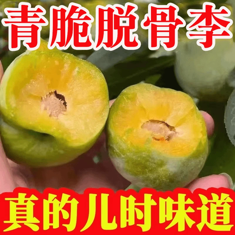 四川脱骨青脆李新鲜应季水果脆甜多汁现摘现发