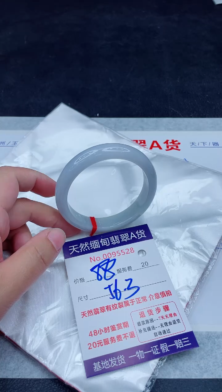 未镶嵌手镯翡翠880.00000