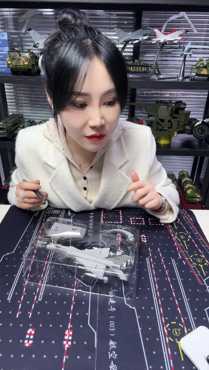 1/100合金飞机模型歼8模型