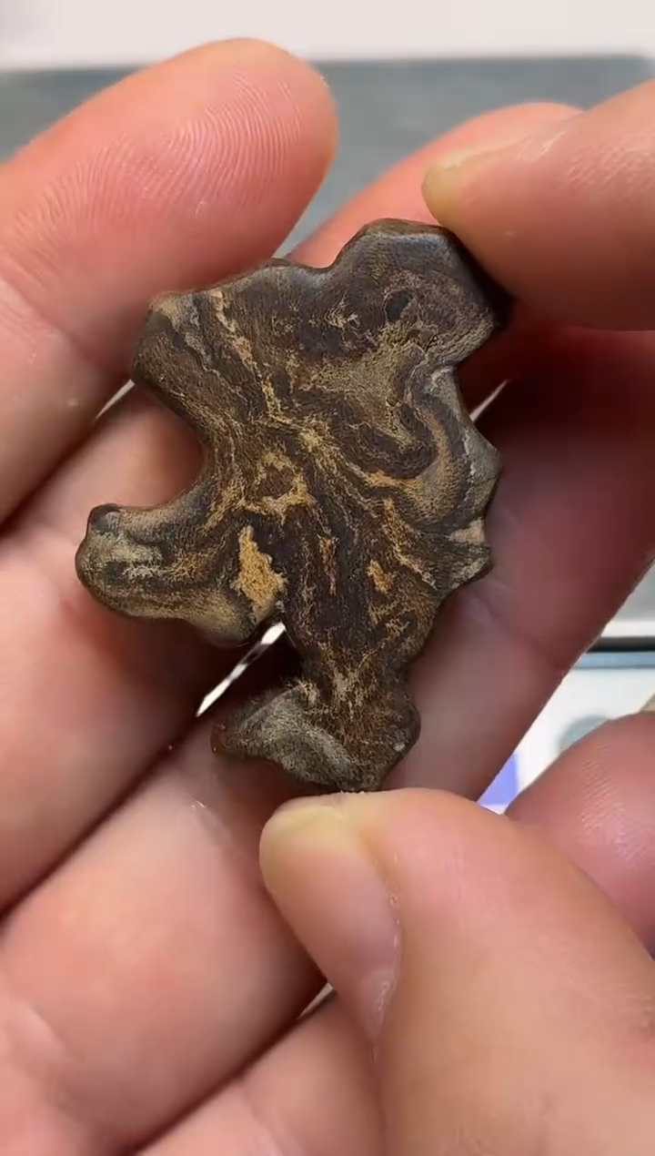 沉香吊坠 越南随型沉水吊坠多样性发其一