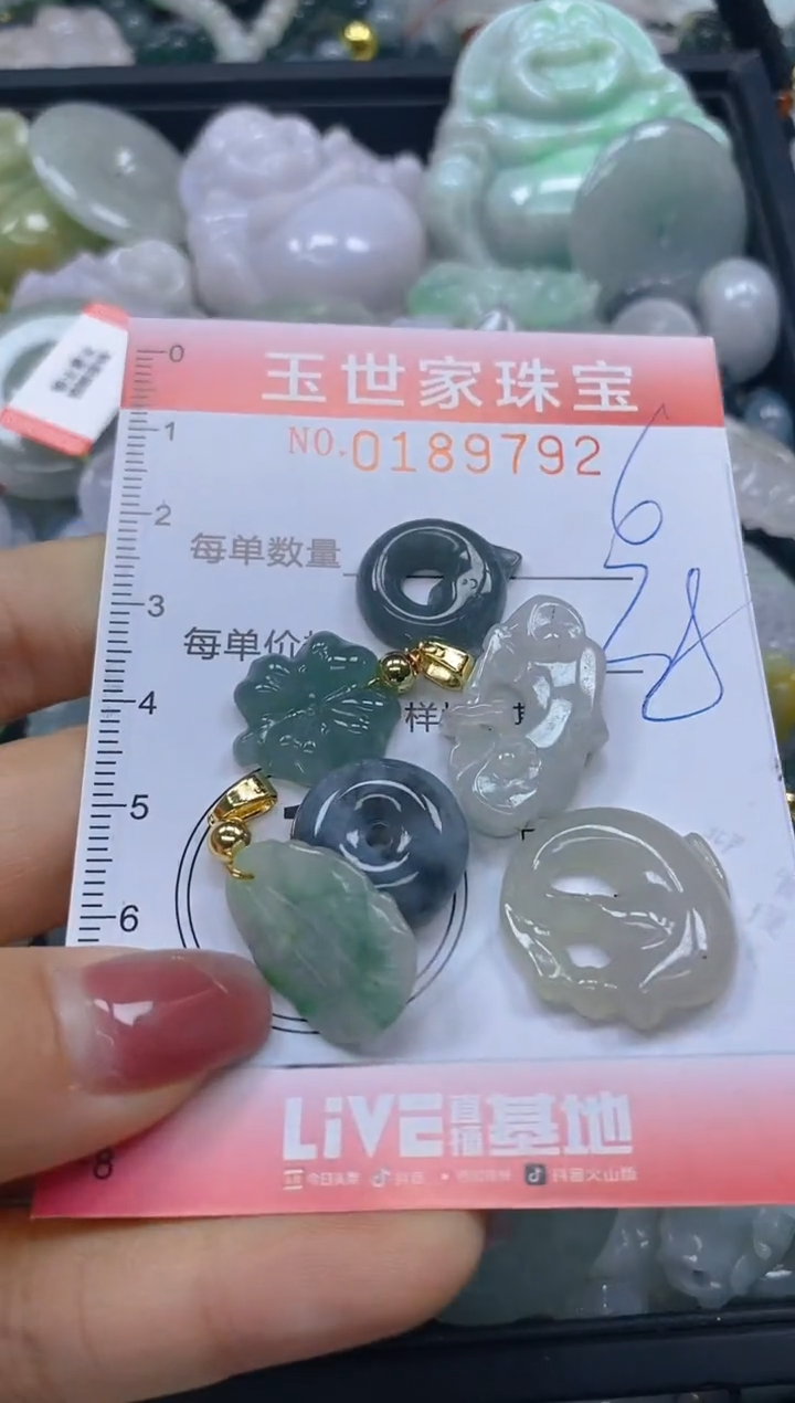 【闪购商品】翡翠颈饰未镶嵌闪购0189792