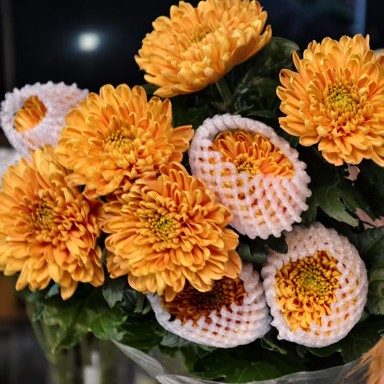 A级稀有罗斯安娜橙色烟花菊10支花努力鲜花