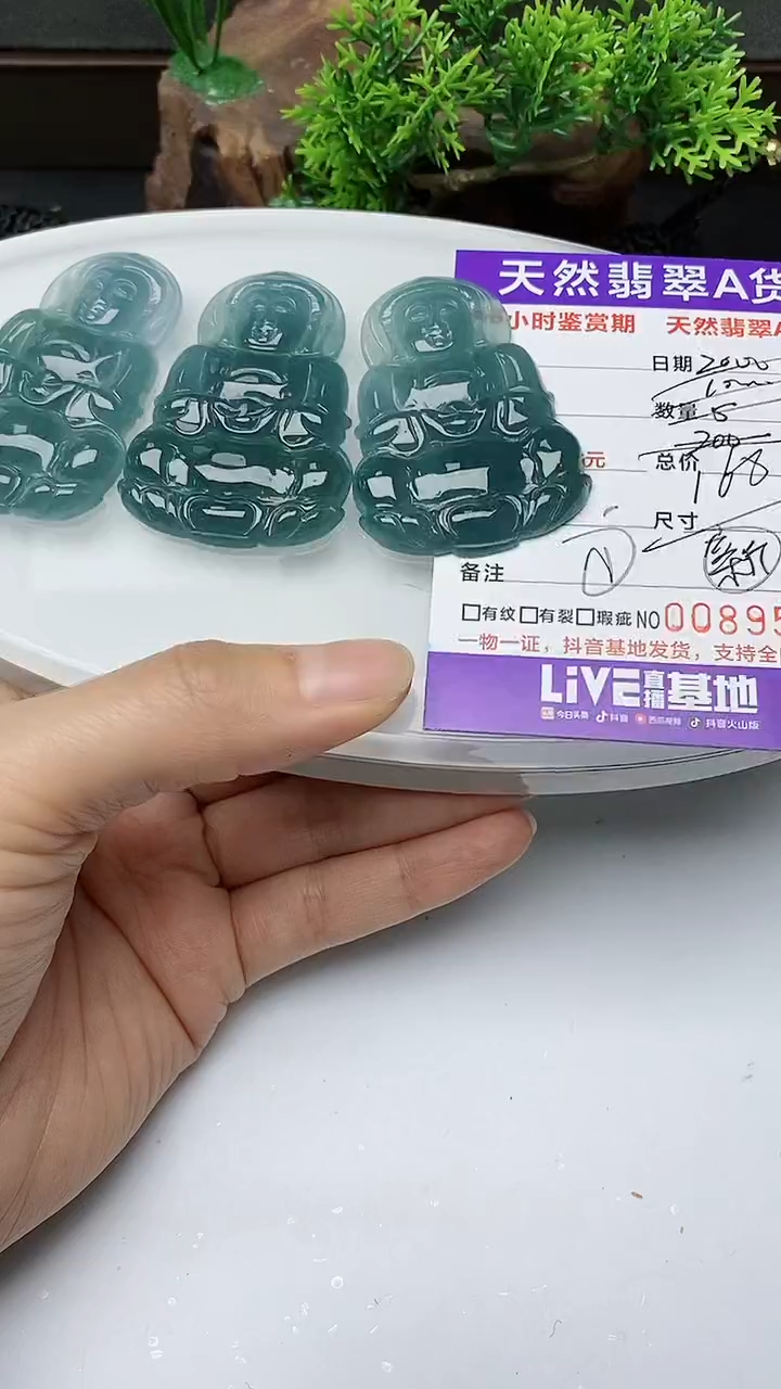 【闪购商品】翡翠颈饰未镶嵌多样性发其一