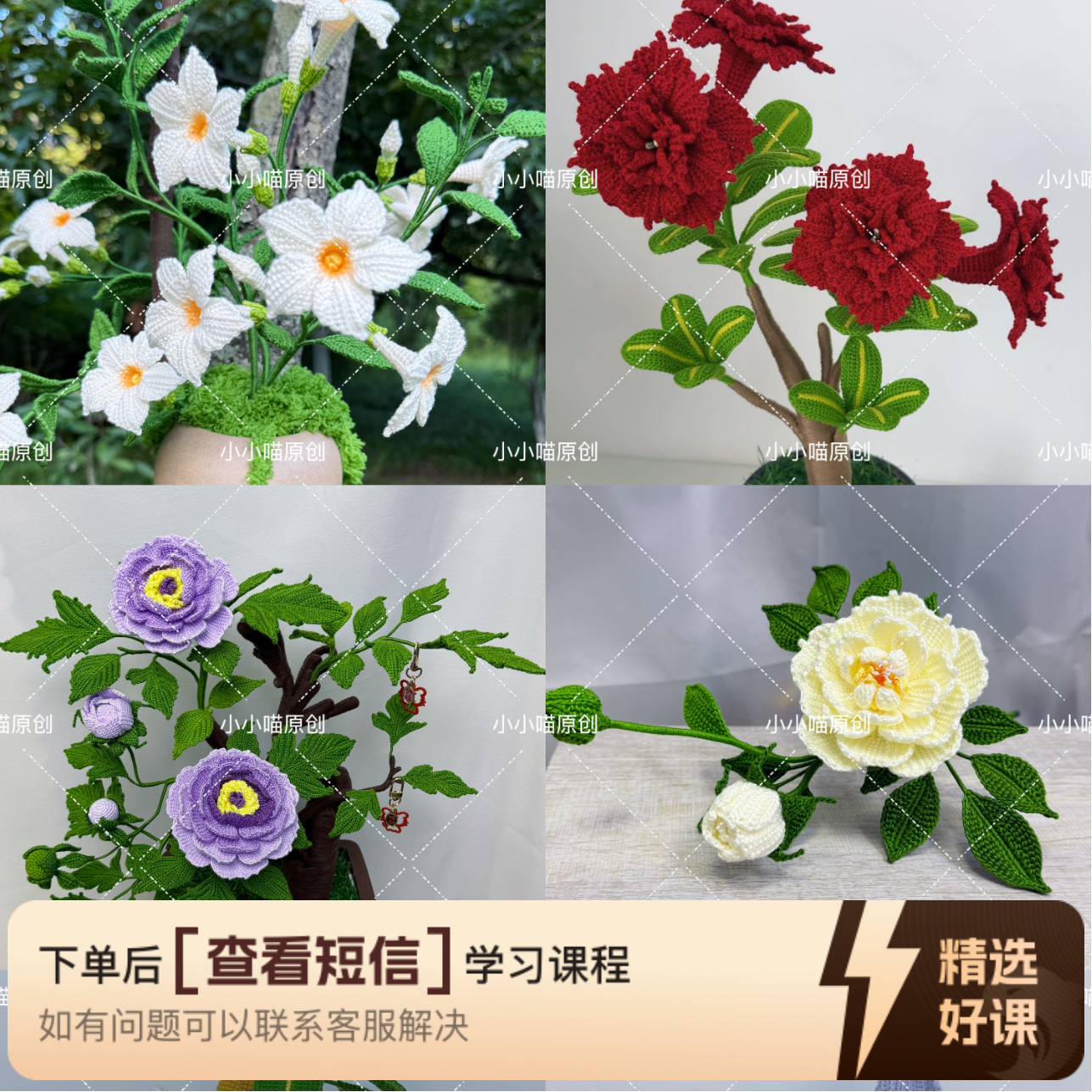 小小喵原创花合集知识服务读书卡
