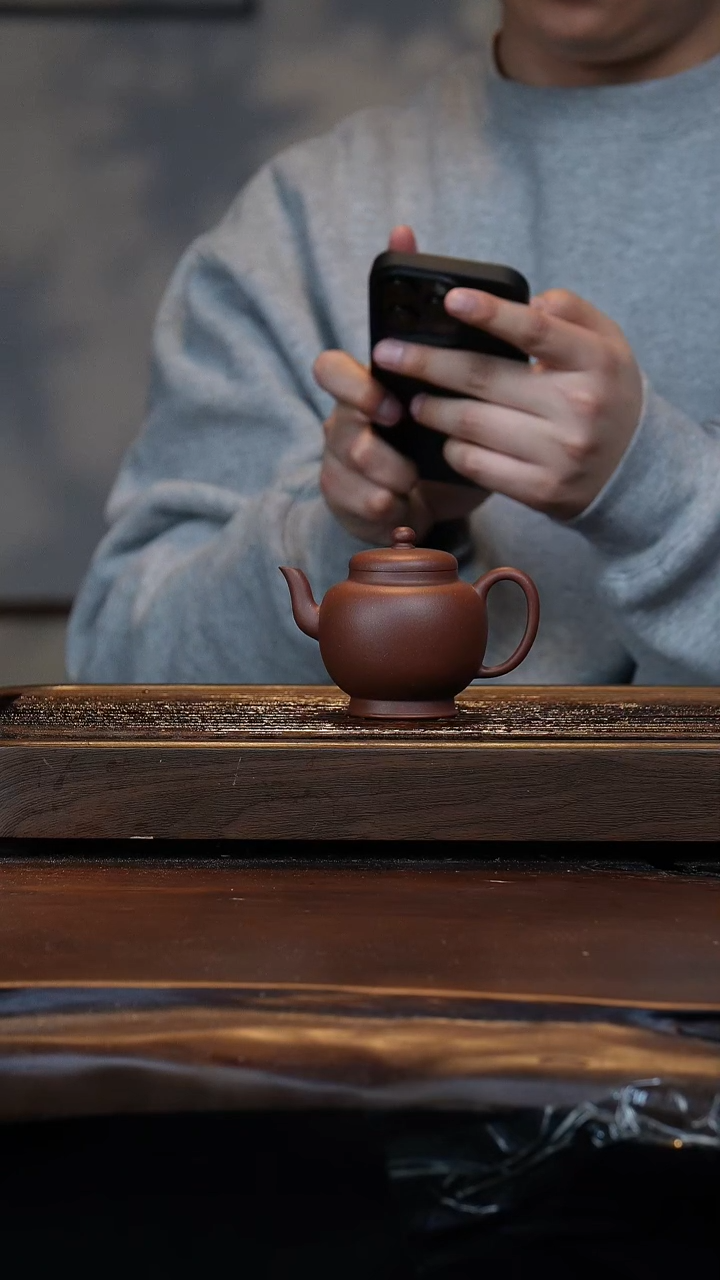 【闪购商品】紫砂茶壶自营南州高士