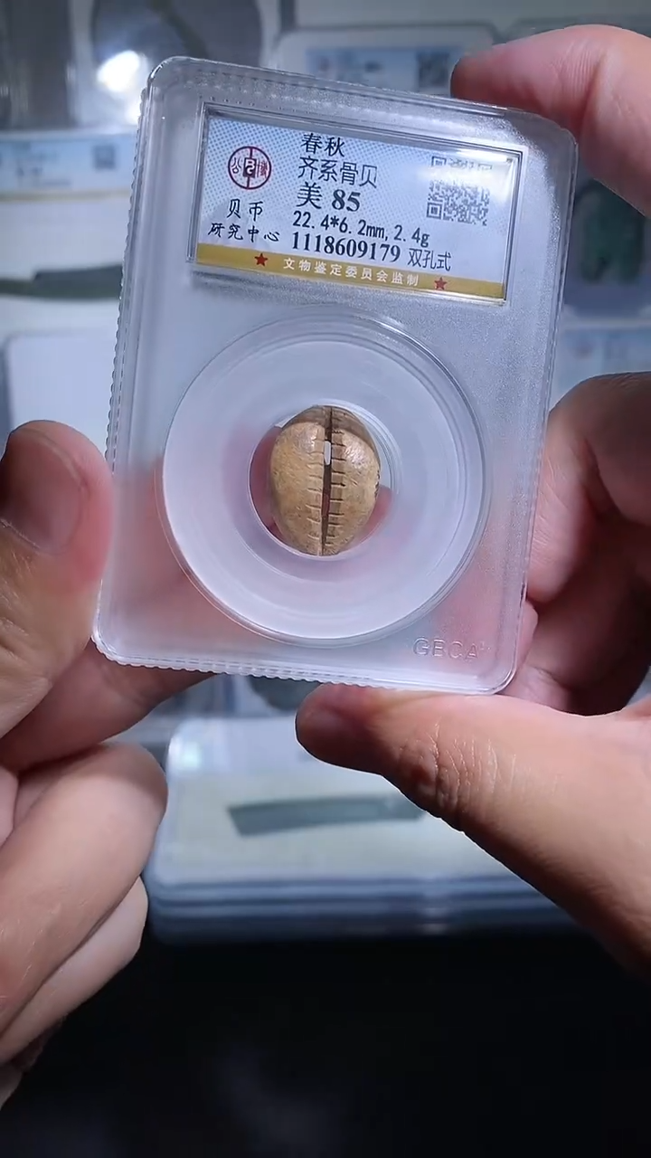 铜宝泉收藏骨bei币一枚