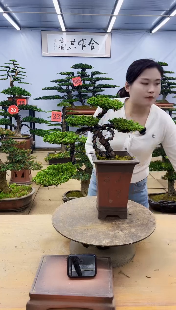 一物一拍，所见即所得