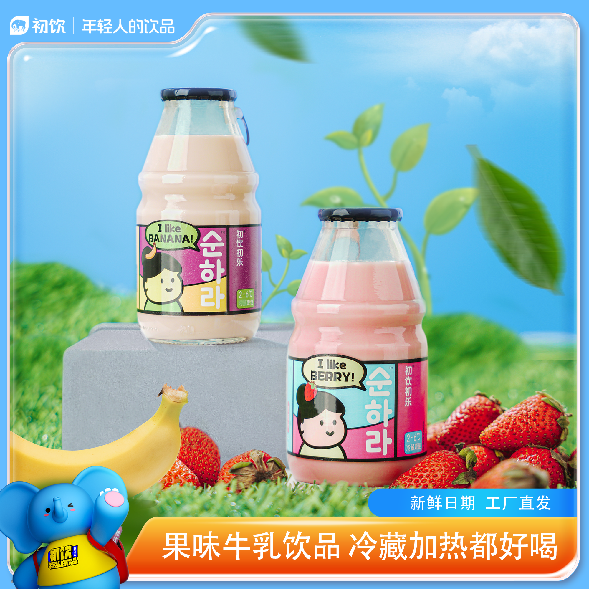 初饮初乐早餐可加热浓醇牛乳饮品草莓香蕉白桃茉莉味奶味十足230g