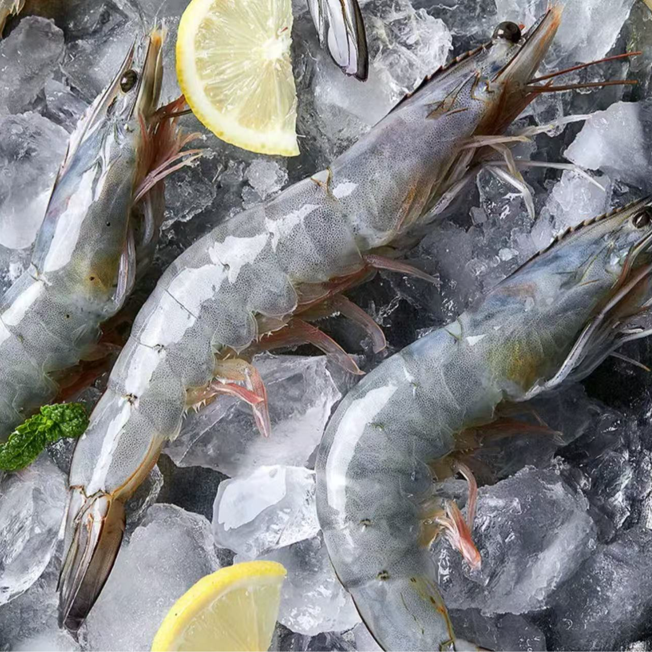 【媛媛专属】30-40海捕大虾