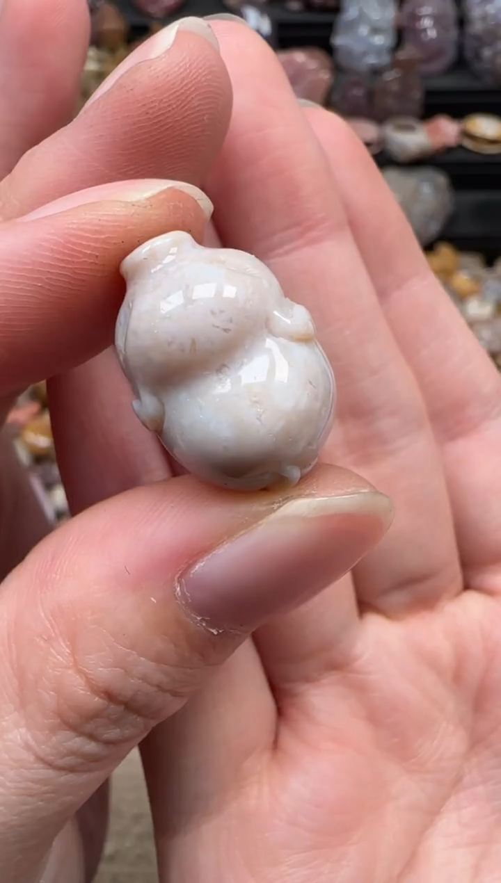 颈饰未镶嵌硅化珊瑚（珊瑚玉）090