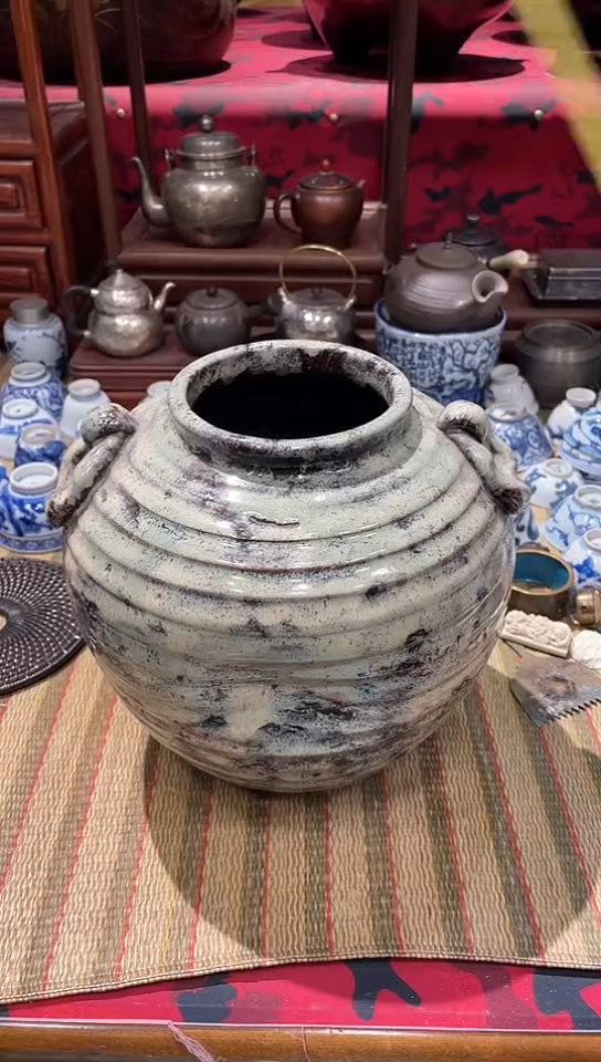 发发发发发发发发发发