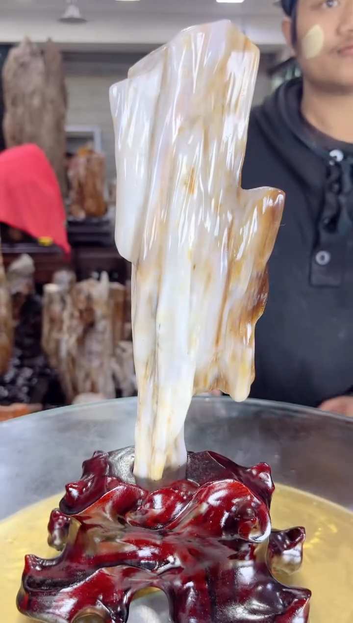 【闪购商品】硅化玉珠宝奇石未镶嵌缅甸天然树化玉