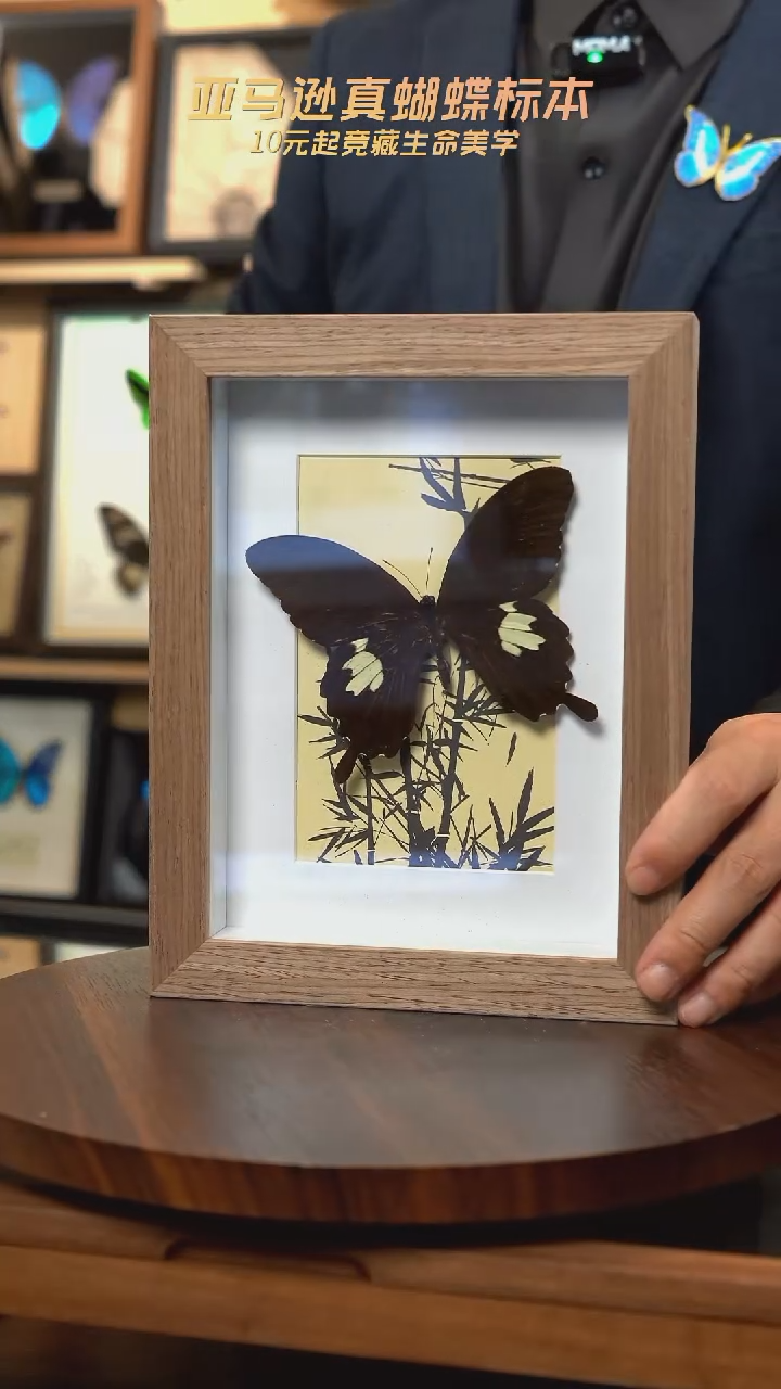 宽带凤蝶竹子款原木框