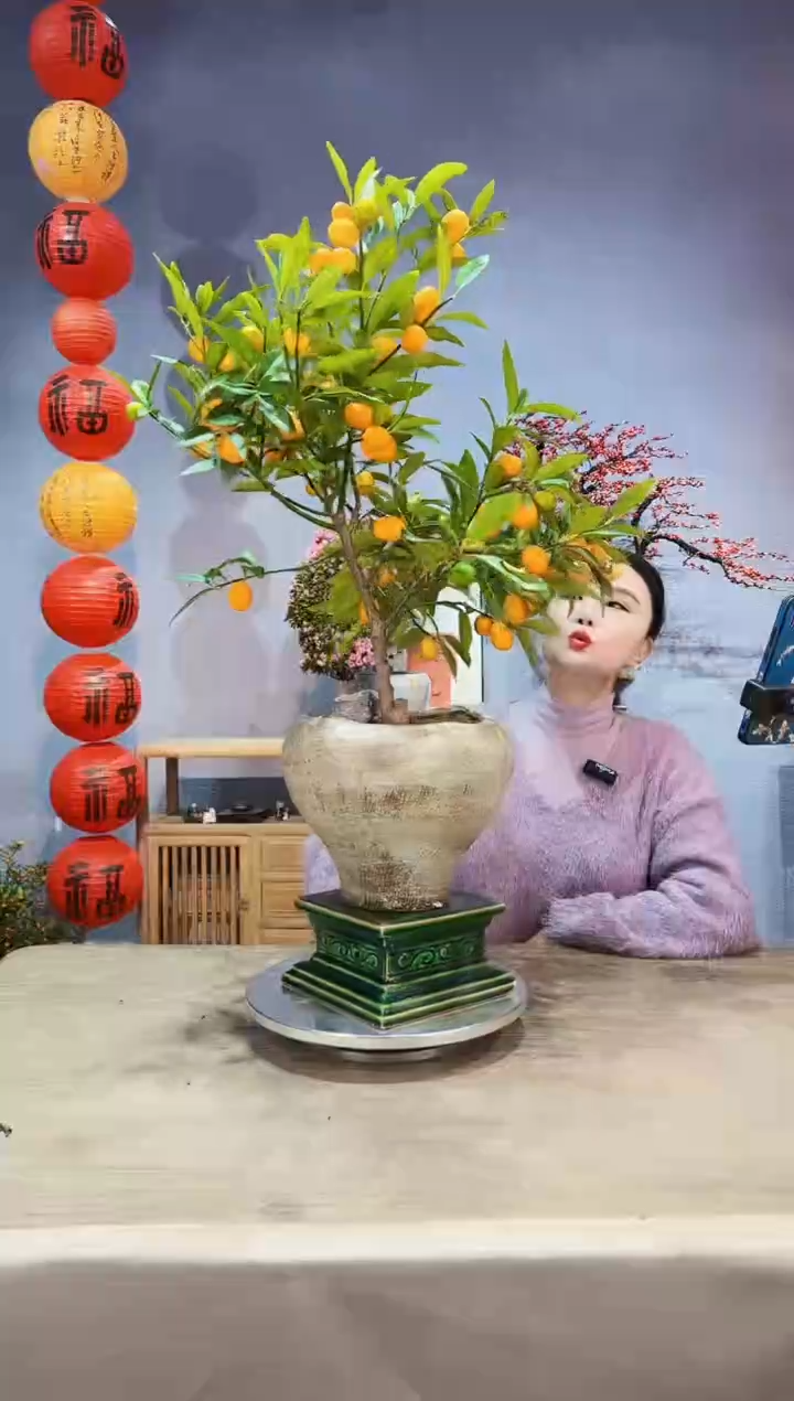 【闪购商品】盆景脆皮金桔