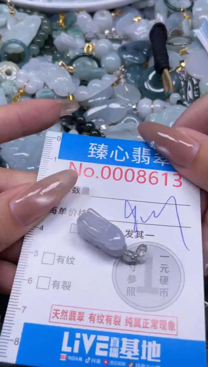 颈饰未镶嵌翡翠8613