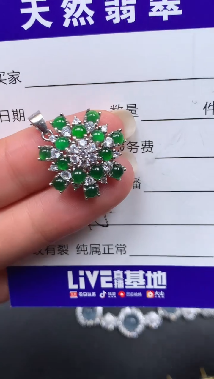 颈饰银S925镶嵌翡翠445