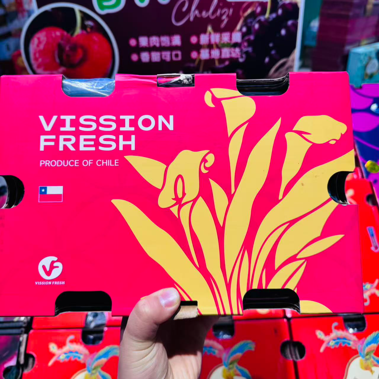 智利海运桑提娜车厘子4JJJJ（5斤装）桑提娜智利