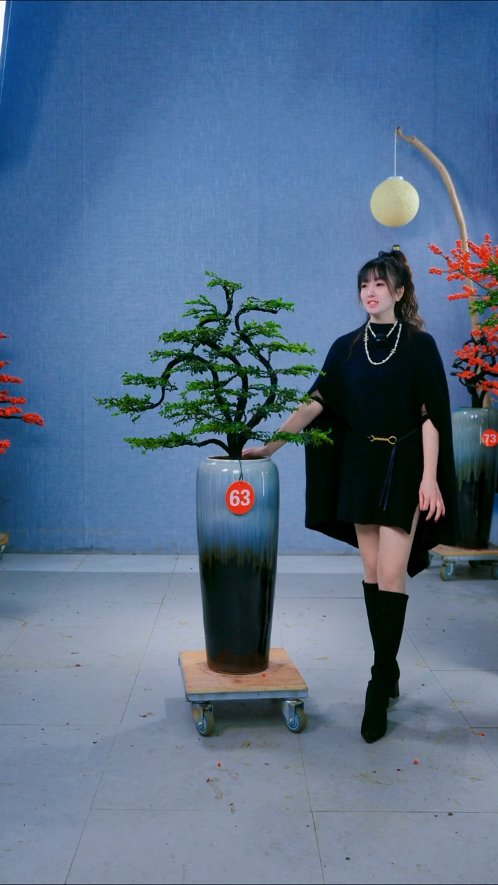 无花朵63号盆链接
