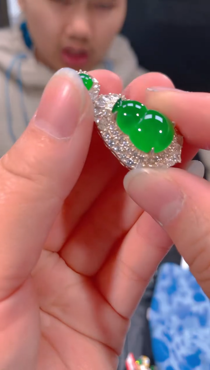 【闪购商品】定制翡翠未镶嵌107多样性发货（发其一）