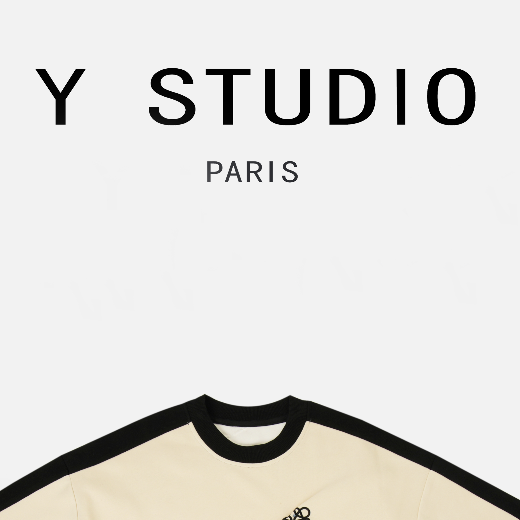 【大妮专属】（杏柠）2024时尚百搭潮流简约秋季新款长袖圆领卫衣