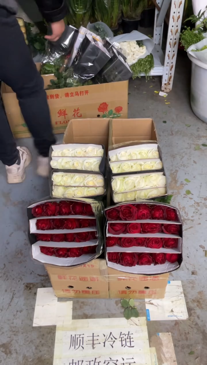 高原红20枝+白雪山20枝