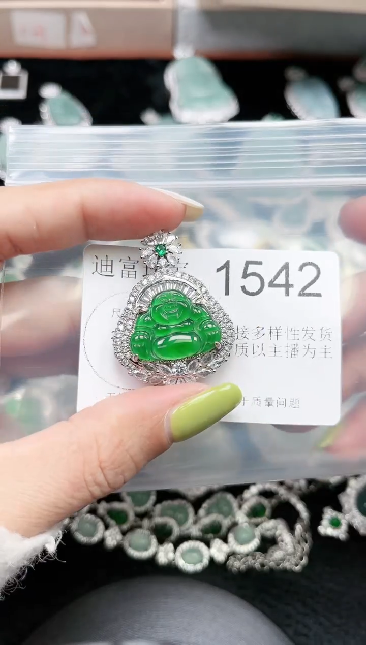 【闪购商品】翡翠颈饰未镶嵌赠皮绳1542