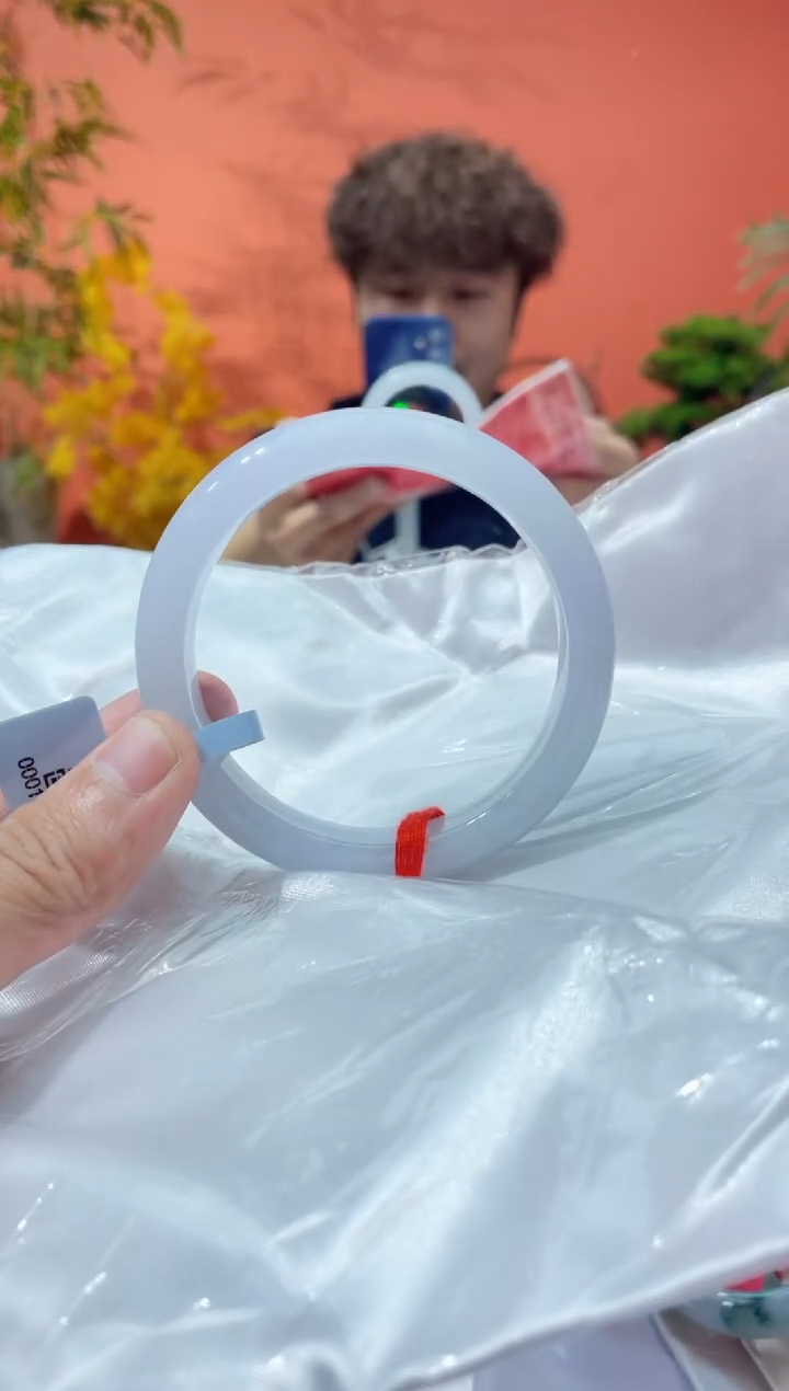 未镶嵌手镯翡翠4