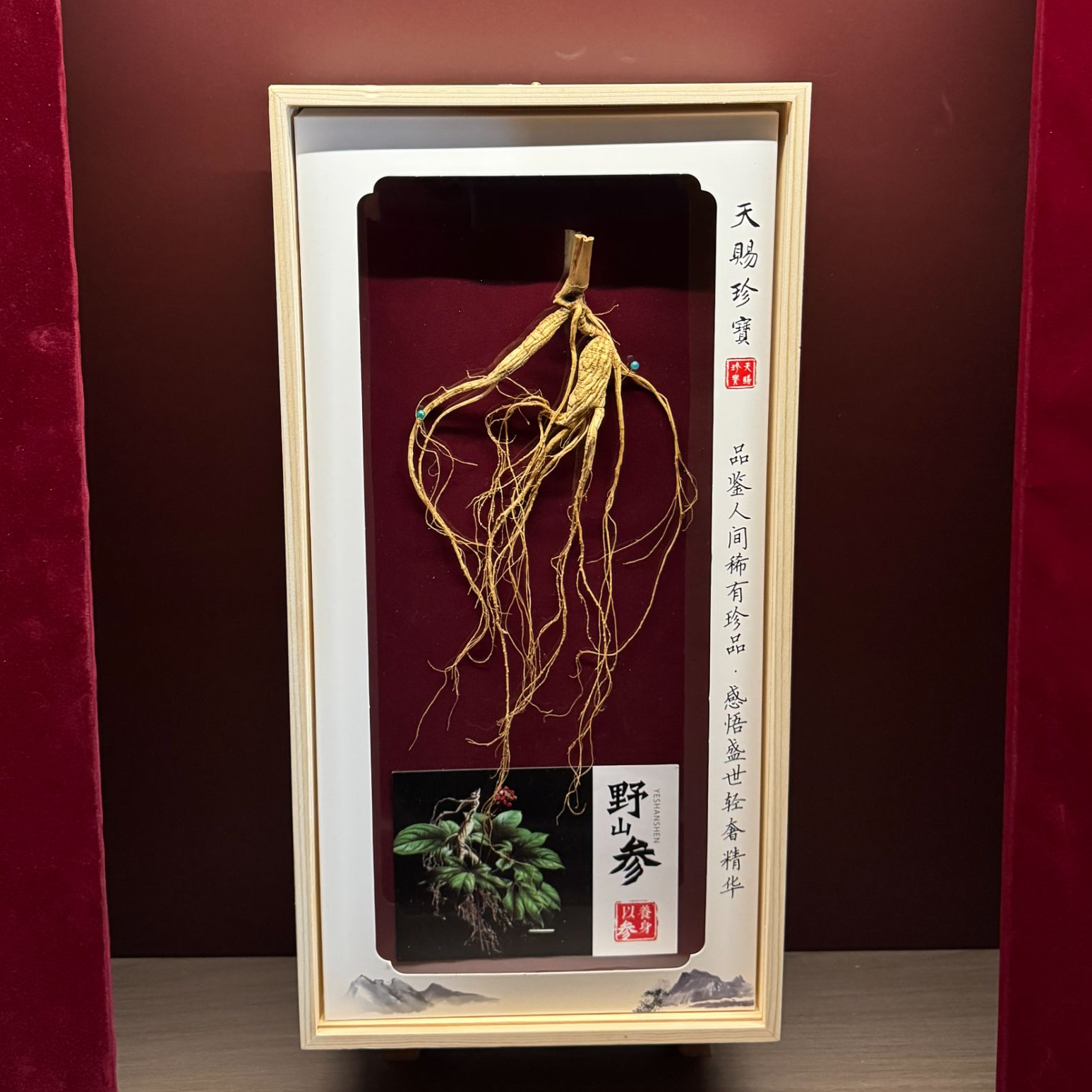 长白山野山参（15年以上） 天赐珍宝实木礼盒  百参百样 实物为准