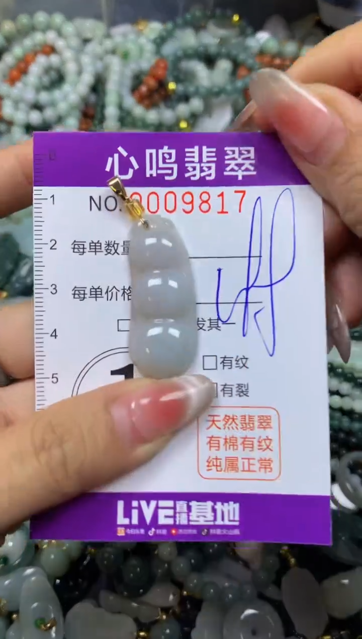翡翠未镶嵌颈饰闪购009817
