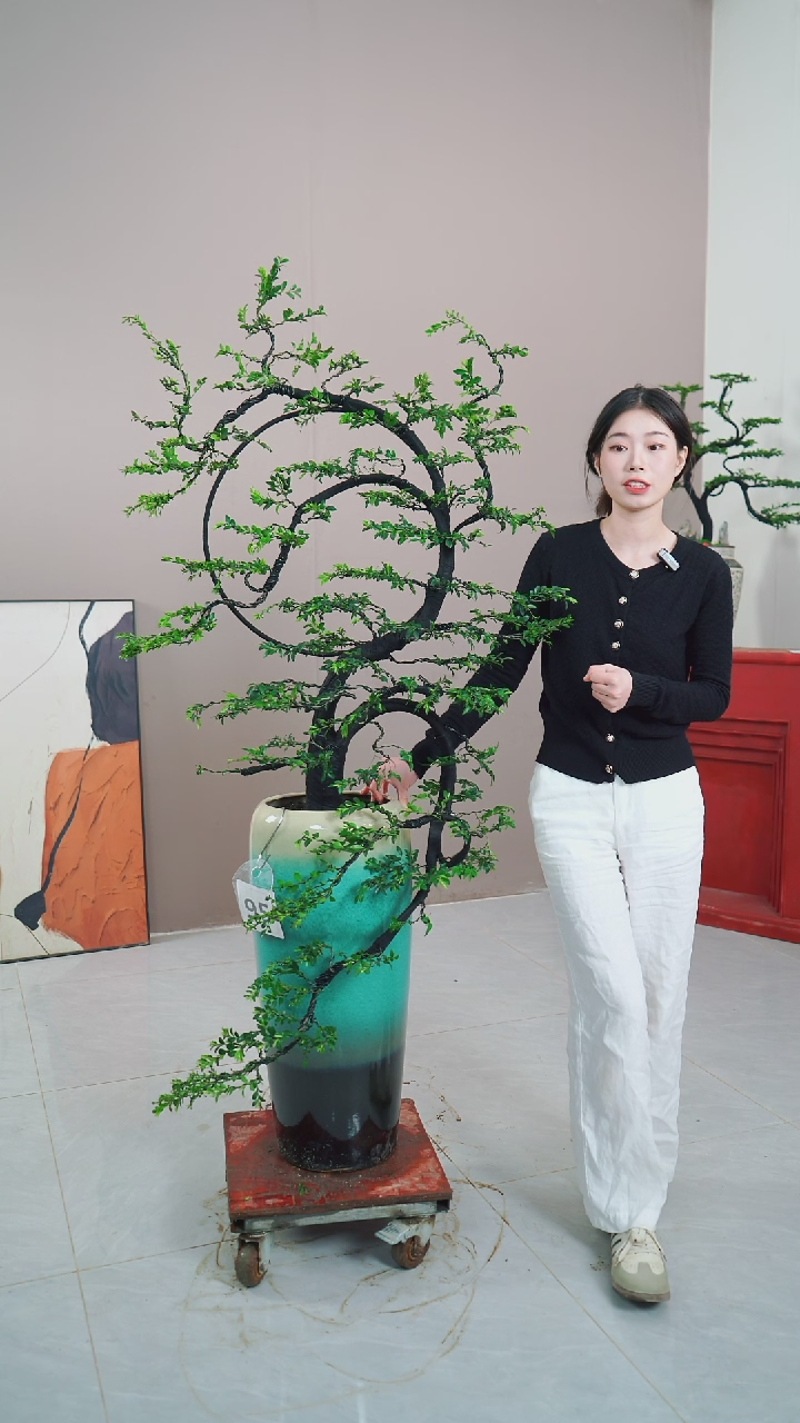 【闪购商品】95号链接