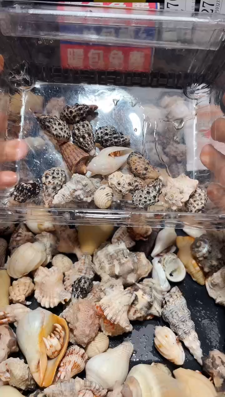 用****715个马岛豆子3279，12X48+3X58