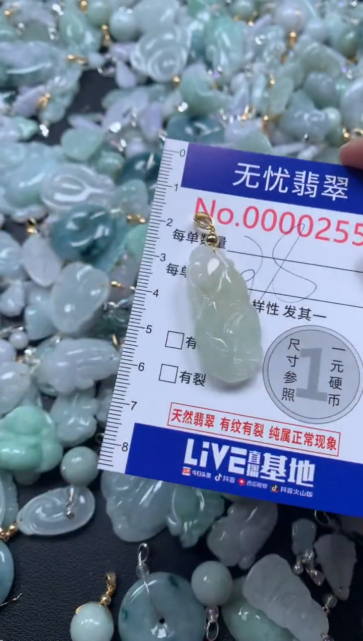 颈饰未镶嵌翡翠255