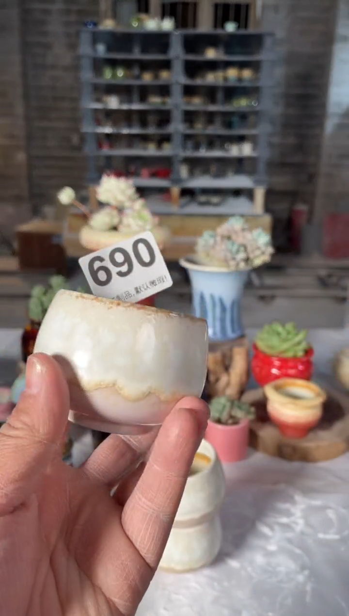 瓷片690小芳直播编号