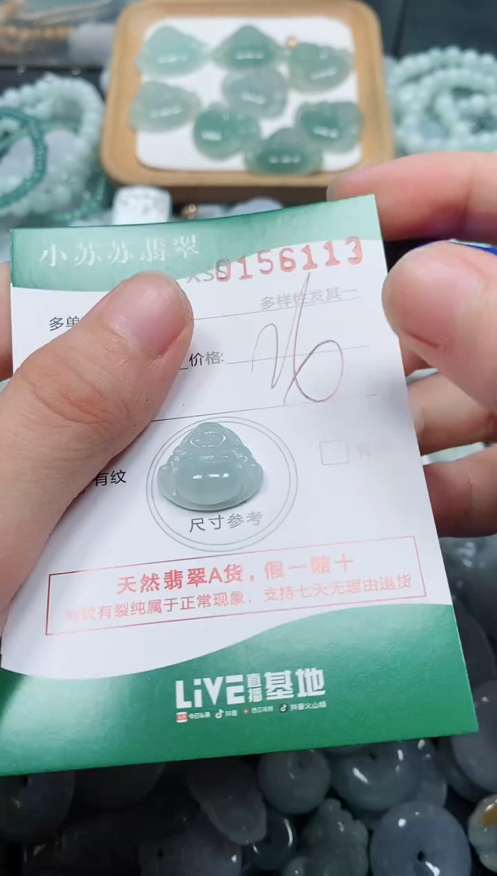 翡翠未镶嵌颈饰闪购商品0156113