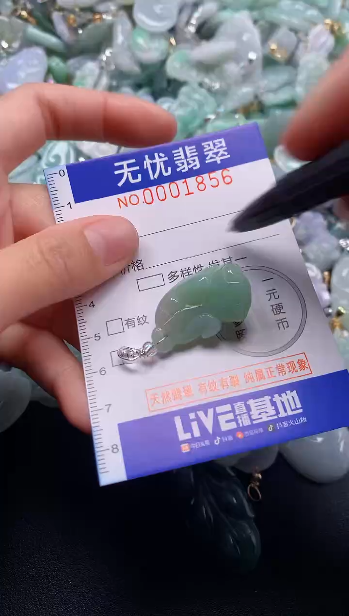 颈饰未镶嵌翡翠1856