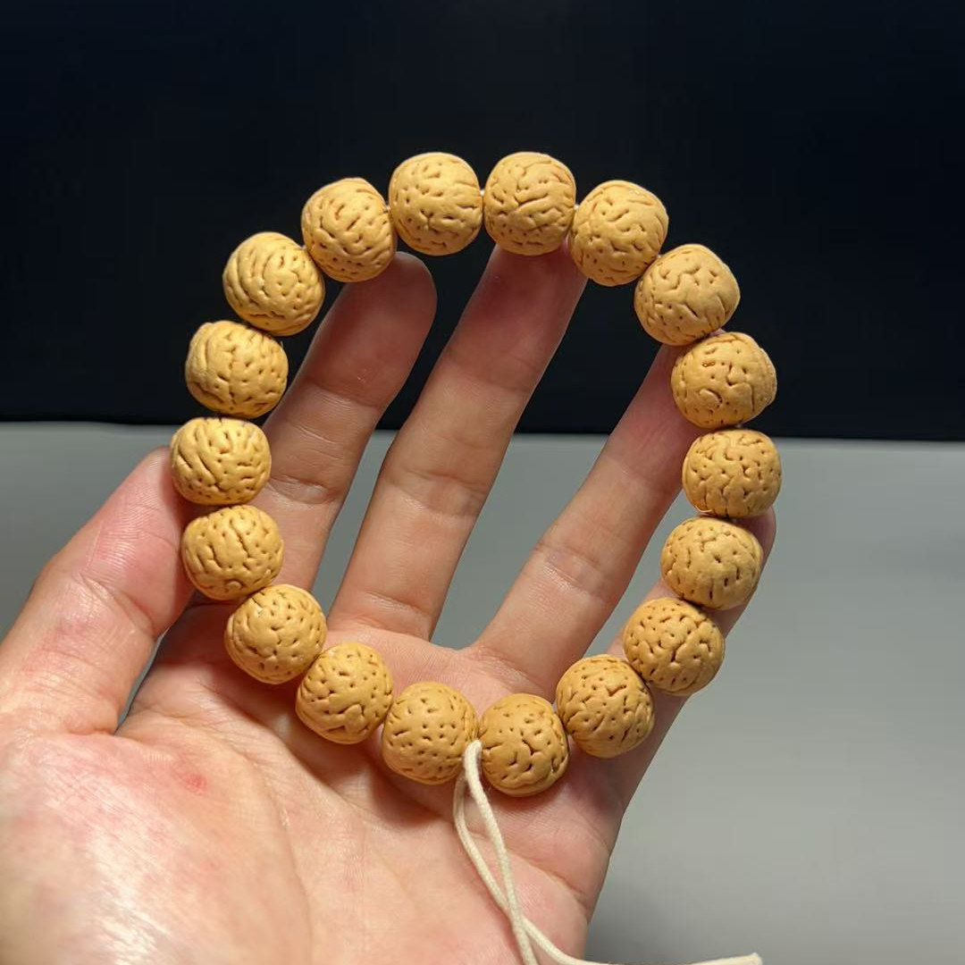 1.4（小宽脐）野生桃核