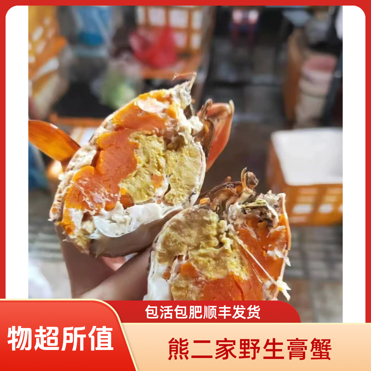 熊二家*【野生膏蟹】包活包肥顺丰发货