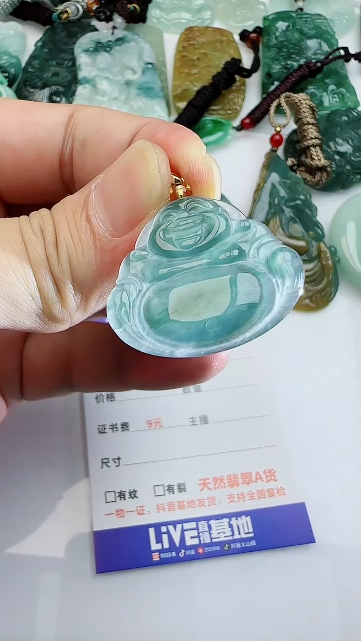 【闪购商品】翡翠颈饰未镶嵌11111111111111