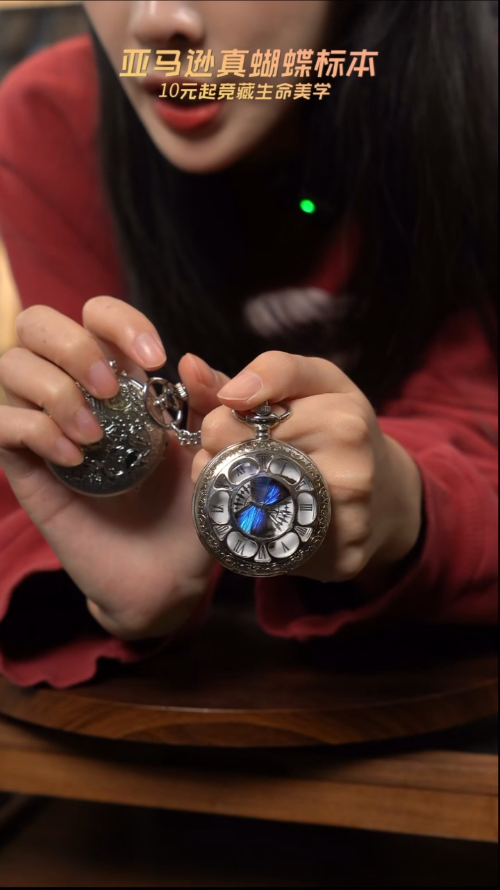 雅灰蝶怀表简约版