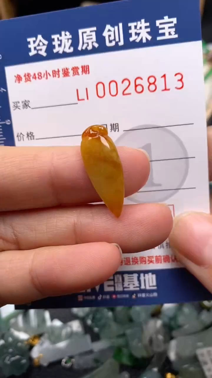【闪购商品】翡翠颈饰未镶嵌翡翠净货26813
