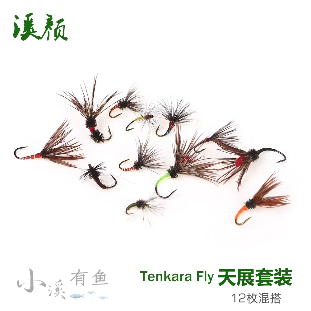 天展飞蝇钩套装 飞钓干式飞蝇钩路亚鳟鱼马口溪哥茴鱼赤眼鳟军鱼