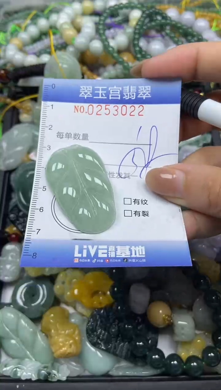 颈饰未镶嵌翡翠闪购C0253022