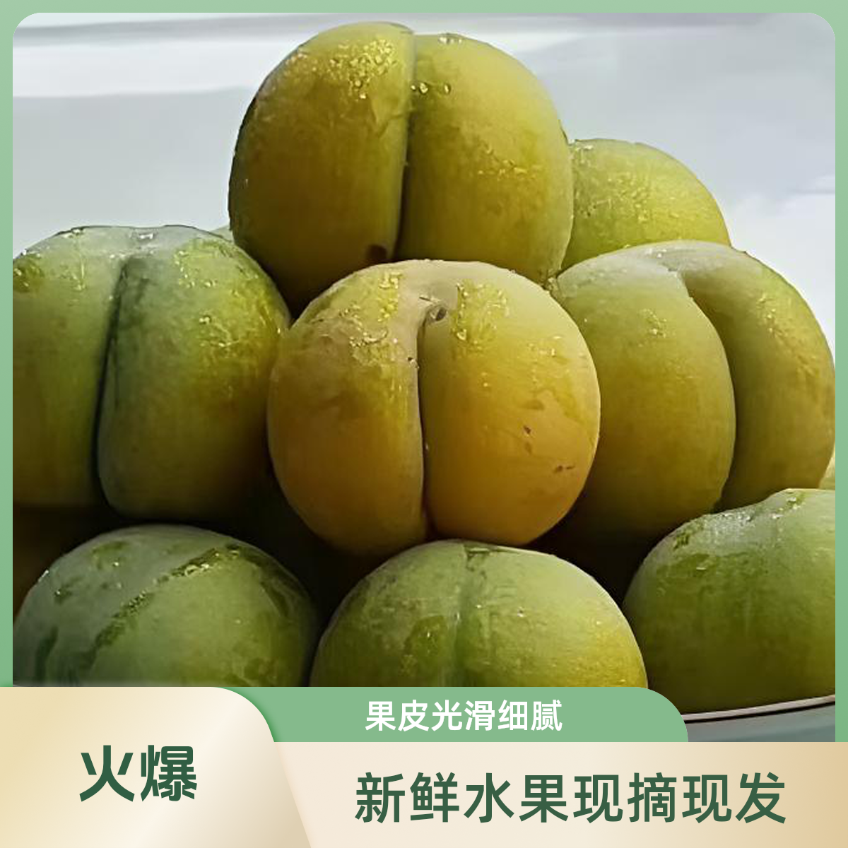 ［蜂糖李］贵州六马正宗蜂糖李脆甜多汁新鲜应季水果产地直发