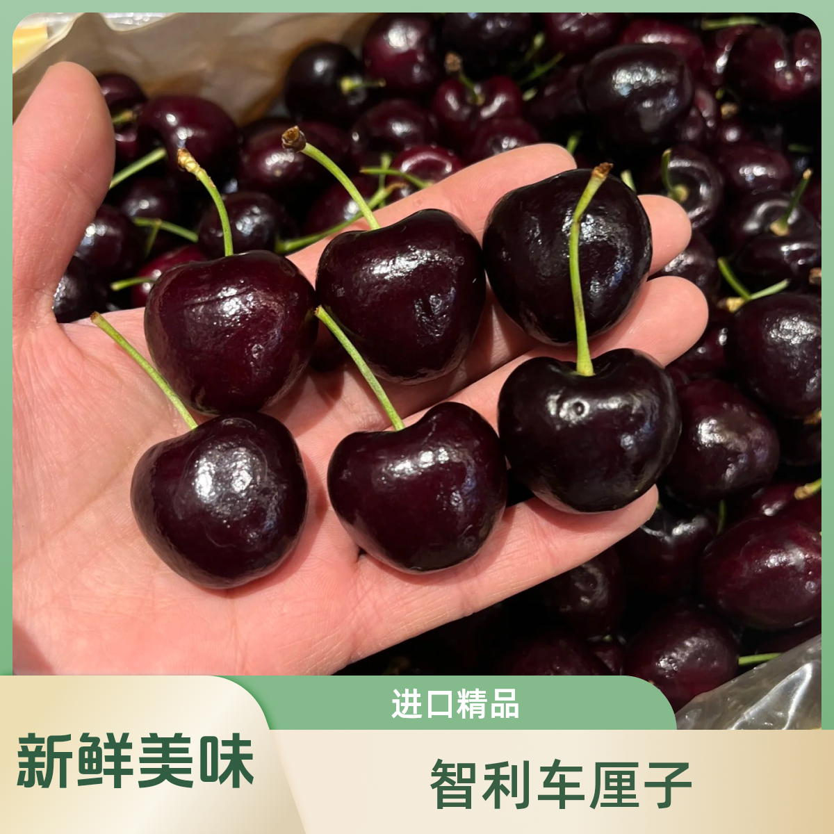 （灵山同城）车厘子4JD新鲜水果5斤礼盒装