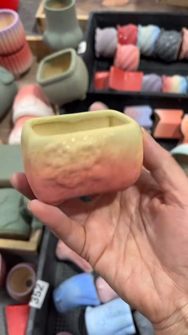 【闪购商品】红陶6*4*4