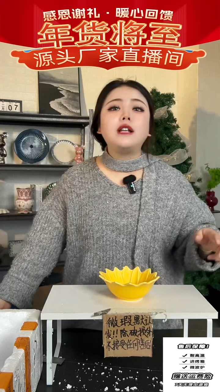 【闪购商品】瓷向日葵