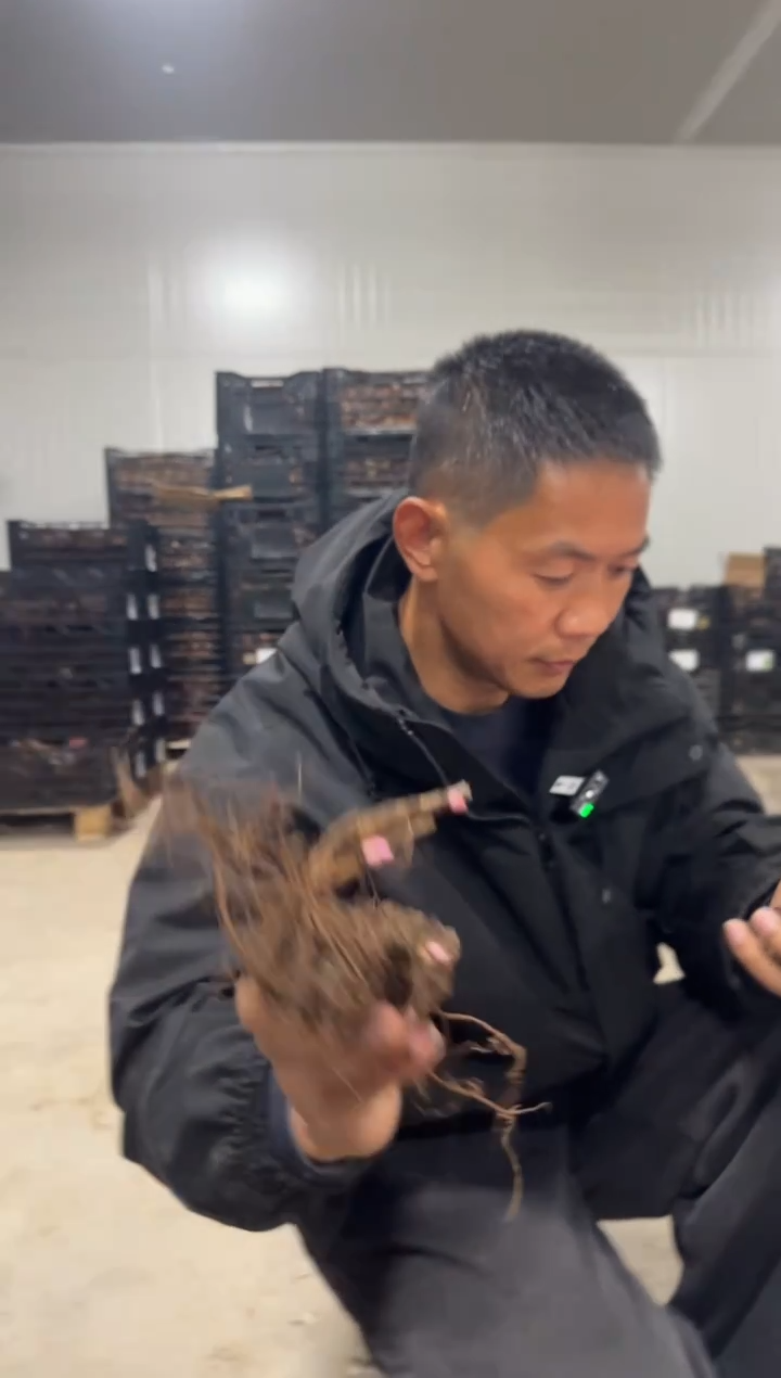 w**！318   www  火舞