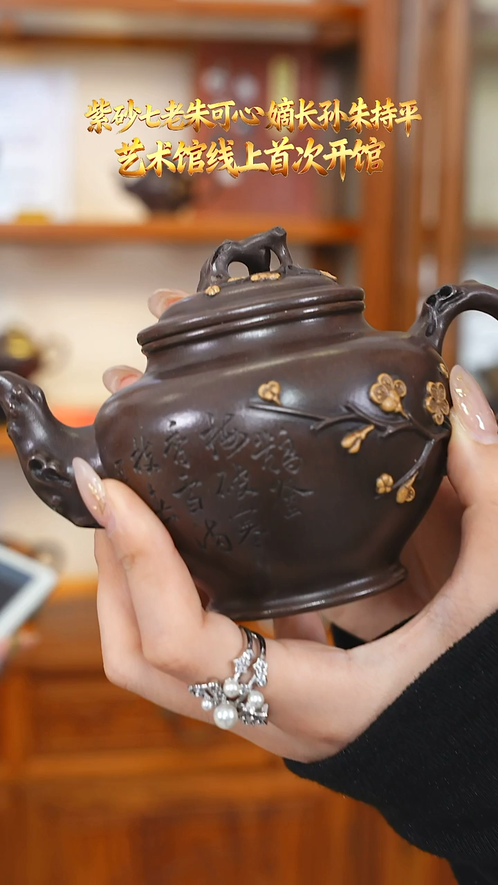 ZCP48甲级紫泥梅报春240cc