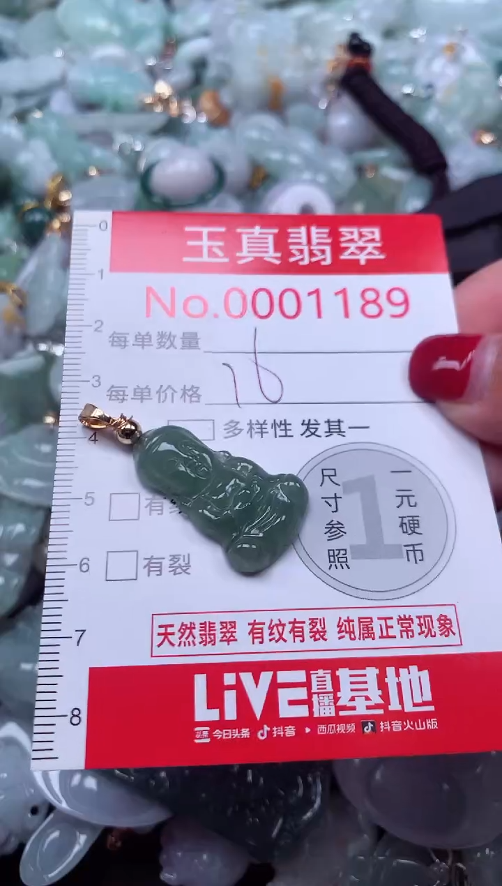 颈饰未镶嵌翡翠1189